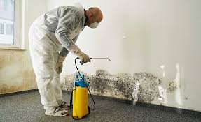 Best Environmental Consulting for Mold Prevention  in Parma, OH