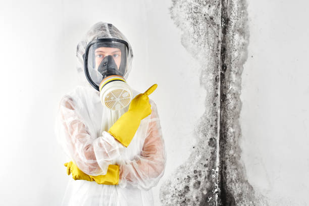 Best Mold Remediation for Healthcare Facilities  in Parma, OH