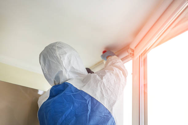 Best Forensic Mold Investigation  in Parma, OH