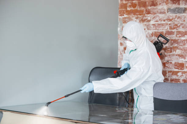 Best Mold Prevention Services  in Parma, OH