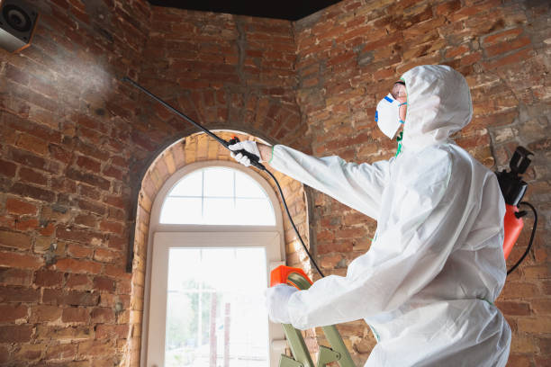 Best Biohazard Mold Removal  in Parma, OH