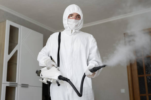 Best Air Quality Testing for Mold Spores  in Parma, OH