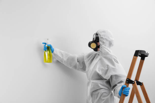 Best Mold Odor Removal Services  in Parma, OH