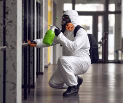  Parma, OH Mold Removal Services Pros