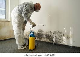 Best Mold Damage Restoration  in Parma, OH